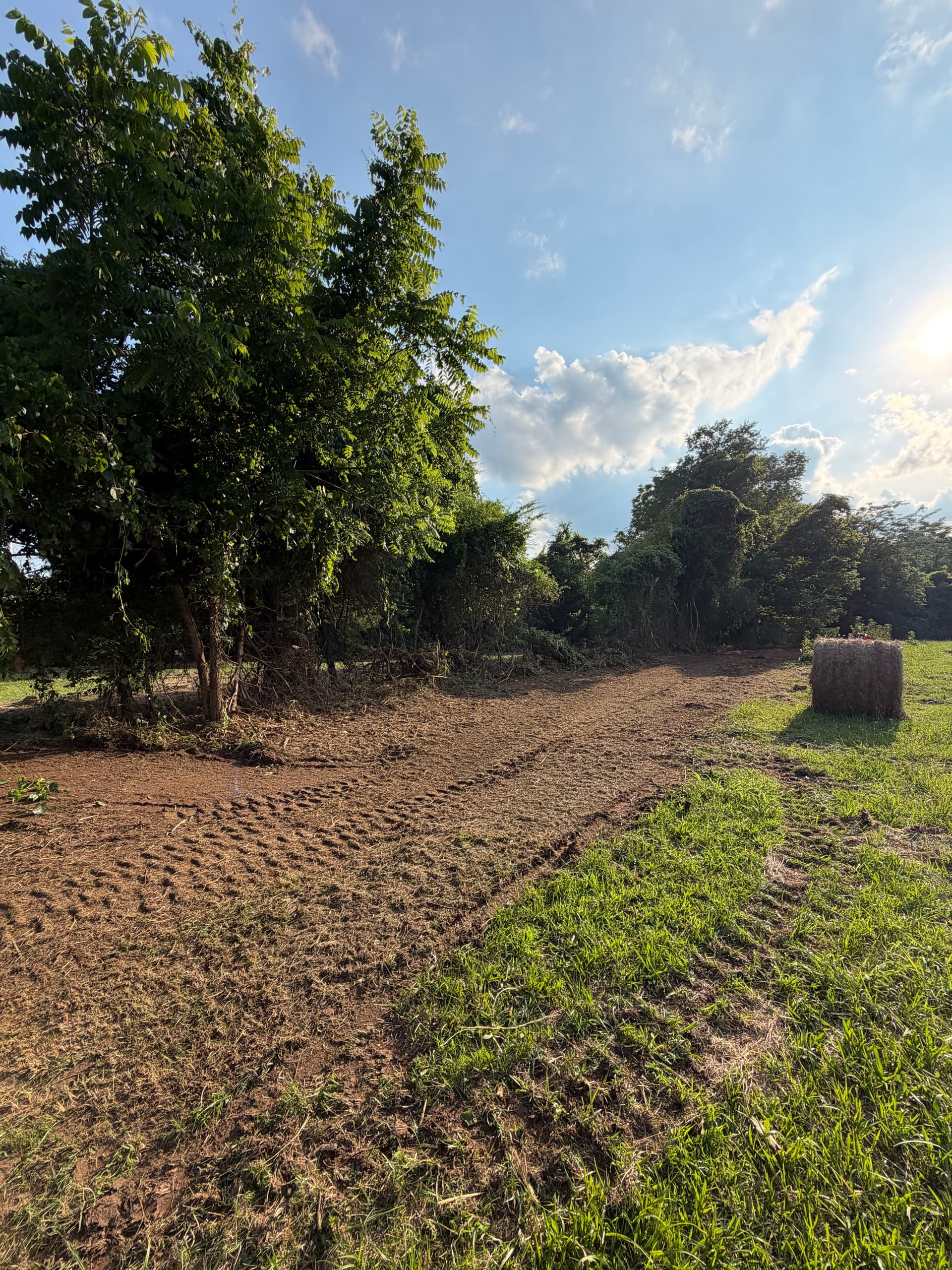 Gallery photos for Overgrown Fence Row Brush Clearing on Hay Ground: Image #2