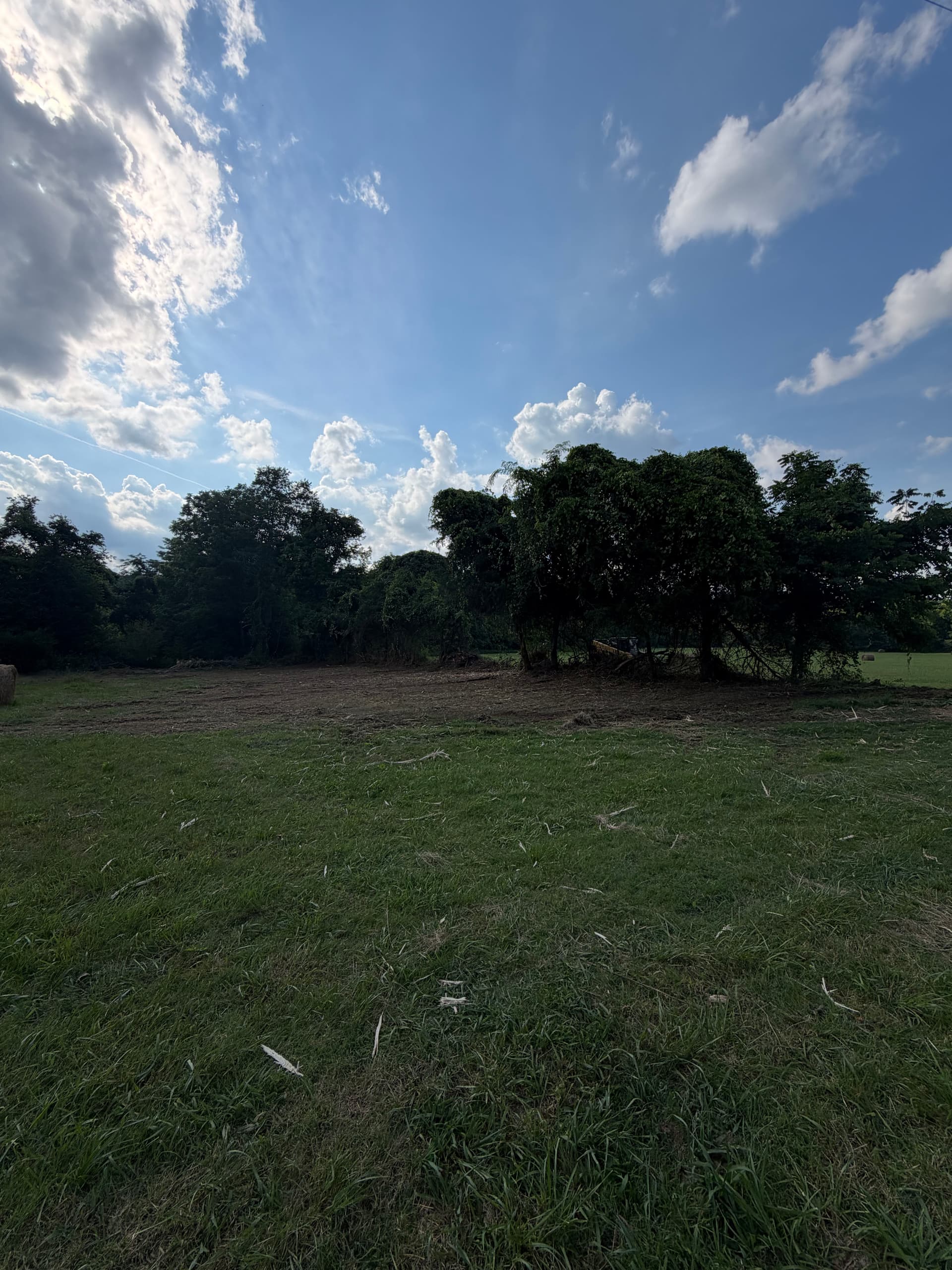 Gallery photos for Overgrown Fence Row Brush Clearing on Hay Ground: Image #1