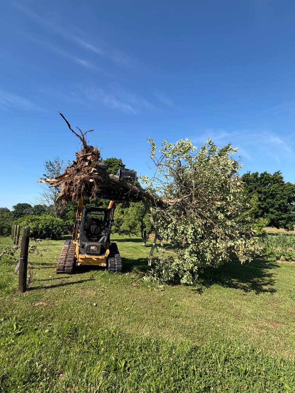 Excavator removing uprooted tree in a lush green field under a clear blue sky.