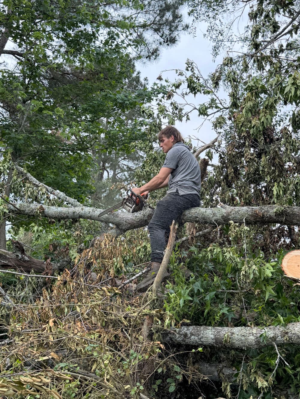 Person using a chainsaw to cut a fallen tree branch in a debris-filled area.
