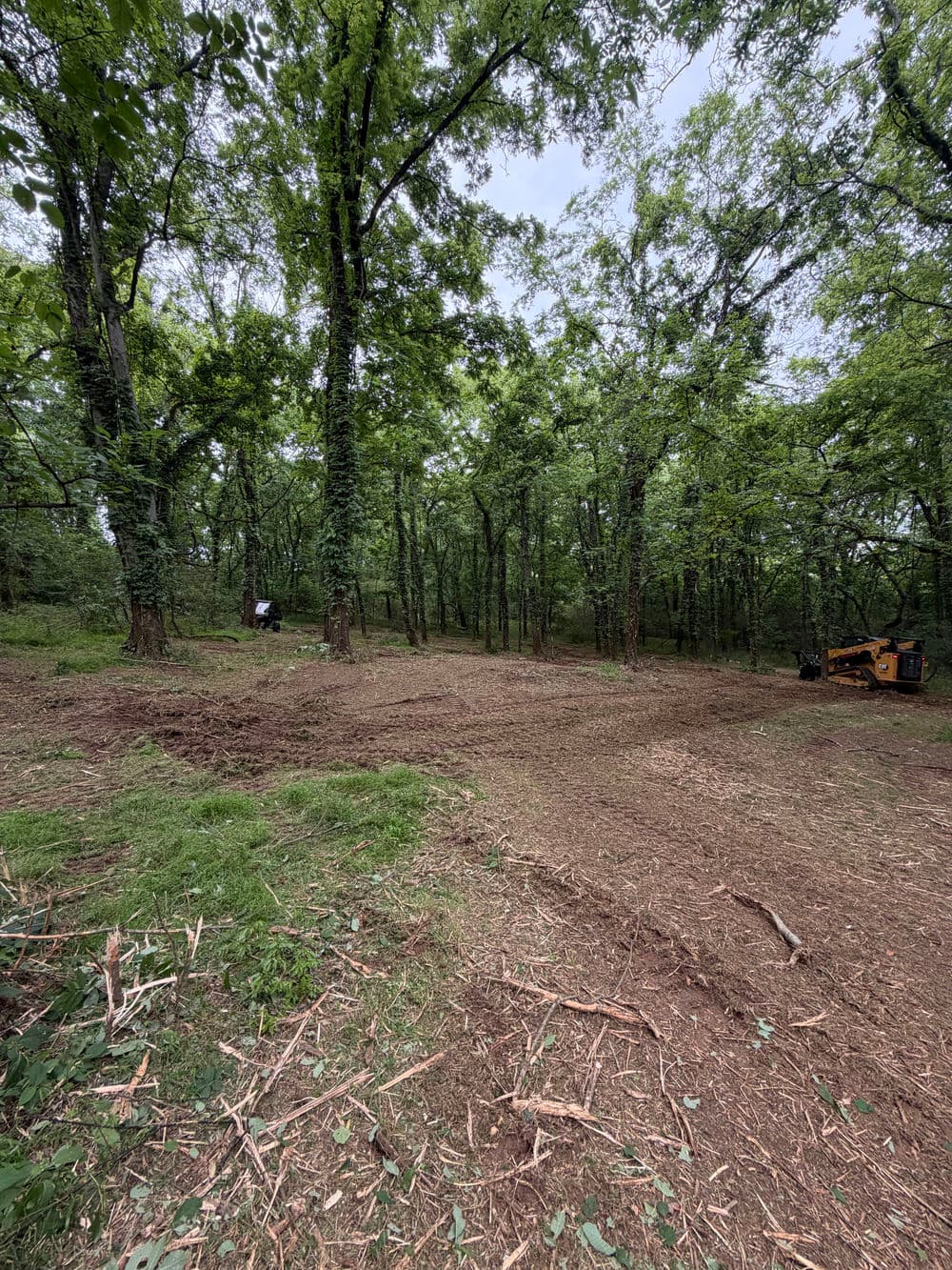 Cleared forest area with trees and machinery, showcasing land preparation for construction.