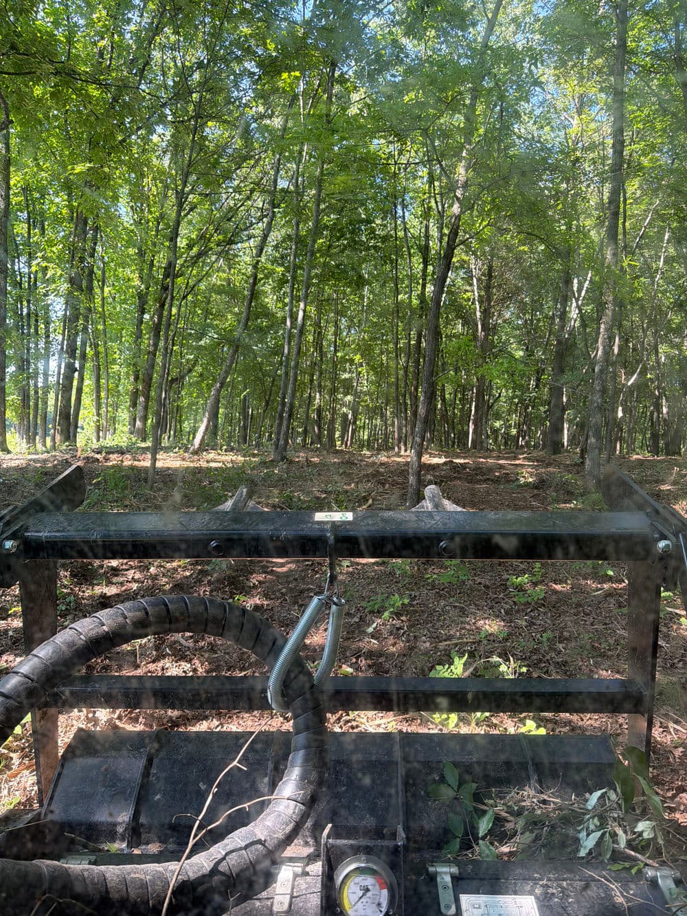 View from an all-terrain vehicle in a lush green forest with tall trees.