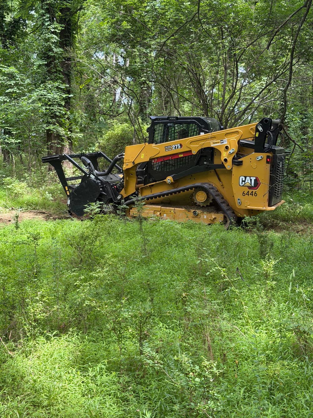 CAT 6446 skid steer loader working in a dense green forested area.