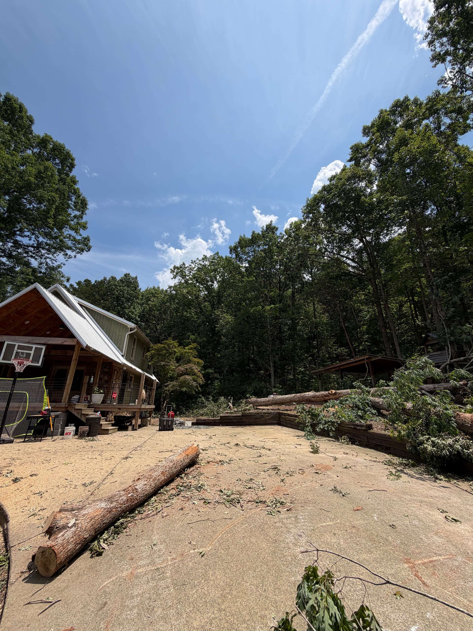 Gallery photos for Tree Removal Around a Wooded Home and Driveway: Image #2