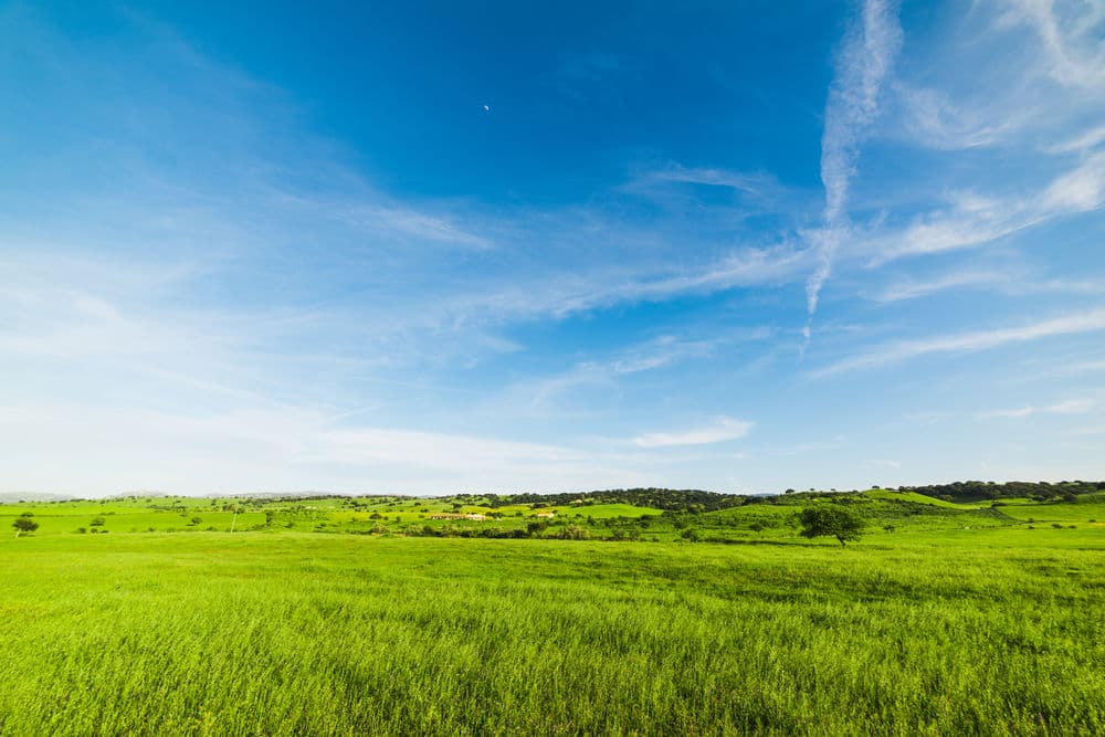 Vibrant green landscape under a clear blue sky with wispy clouds.